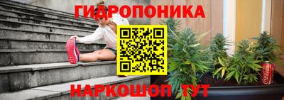 прущие грибы Кулебаки
