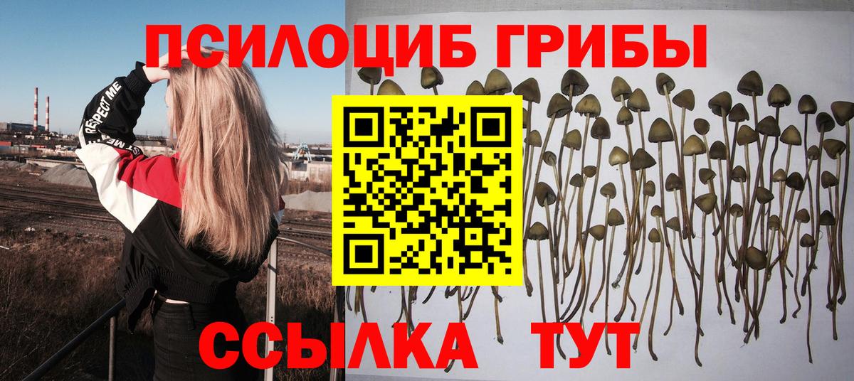 Добрянка  Галлюциногенные грибы Psilocybe  Вход с VPN  Галлюциногенные грибы MAGIC MUSHROOMS 